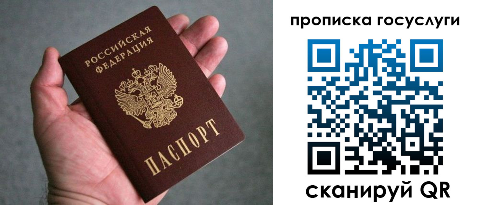 прописка 2025 в Чайковском